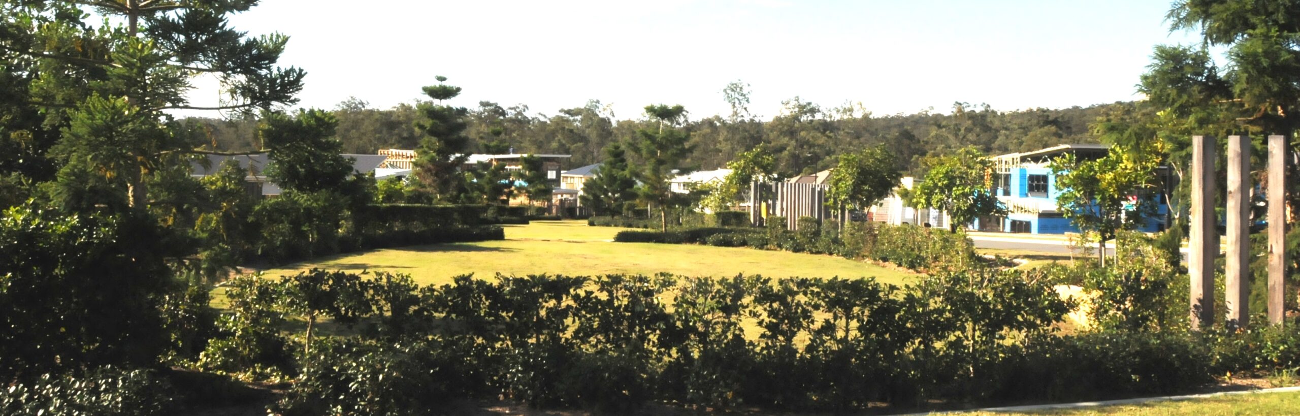 A view across a park to a collection of houses, the houses relate to the park and the landscape. Landscape elements define the spaces within the park.